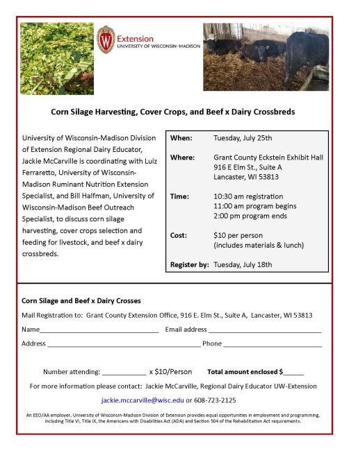 Corn Silage, Cover Crops, and Beef x Dairy Crosses – Extension ...